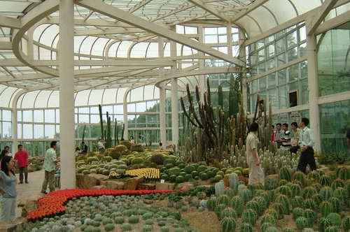 廈門園林植物園